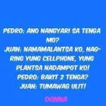 Plantsa.webp