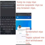 1618925159799.webp 1618925159799.webp