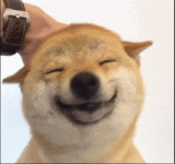 200.gif