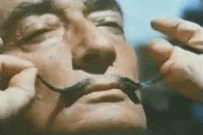 200.gif