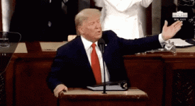 200.gif