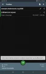 Screenshot_20210422-030930_Shadowsocks.webp