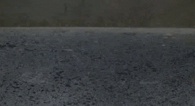 200.gif