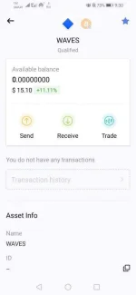 Screenshot_20210422_093002_com.wavesplatform.wallet.webp