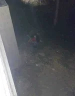 FB_IMG_1618371448888.webp
