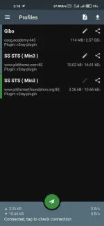 Screenshot_2021-04-23-02-18-59-526_com.github.shadowsocks.webp
