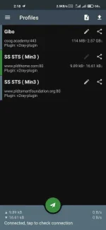 Screenshot_2021-04-23-02-18-49-037_com.github.shadowsocks.webp
