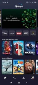 Screenshot_2021-04-23-07-07-31-876_com.disney.disneyplus.webp