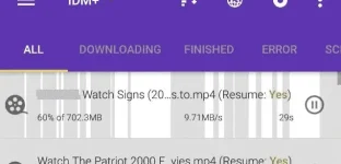 5.webp