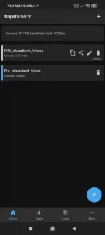 Screenshot_2021-04-24-07-13-13-465_com.napsternetlabs.napsternetv.webp