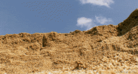 200.gif