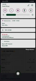 Screenshot_20210425_095553_com.github.shadowsocks_easy.webp