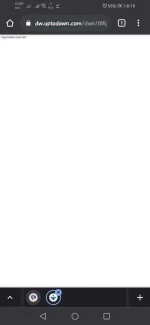 Screenshot_20210425_201921_com.android.chrome.webp
