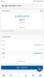 Screenshot_20210423-165924_CryptoTab Browser ρrø.webp