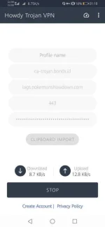 Screenshot_20210426_011829_howdy.trojan.vpn.webp