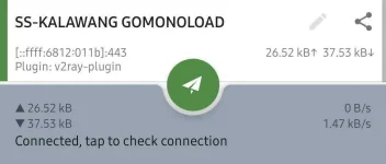 Screenshot_20210426-202200_Shadowsocks.webp