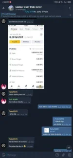 Screenshot_2021-04-27-16-38-18-854_org.telegram.messenger.webp
