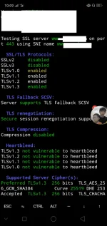 ss1.webp