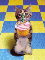 200.gif