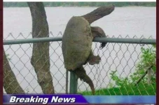 breaking news.jpg