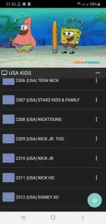 Screenshot_20210428-215010_IPTV.webp