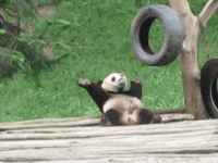 200.gif