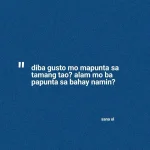 FB_IMG_1619672232172.webp