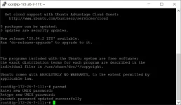 Captureasdsadad.webp