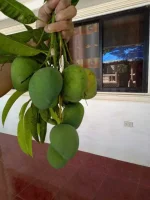 IMG20210225144802.webp