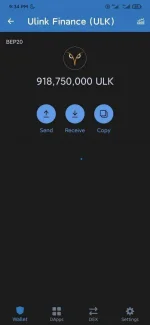 Screenshot_2021-04-29-21-34-27-757_com.wallet.crypto.trustapp.webp