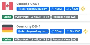 Screenshot_2021-05-01 OpenTunnel net - Free V2Ray Vless Servers.webp