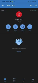 Screenshot_2021-05-01-12-41-49-016_com.wallet.crypto.trustapp.webp