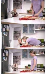 FB_IMG_1618148431396.webp