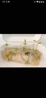 Screenshot_20210310-070056.webp