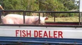 Fish Dealer.webp