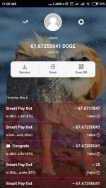 Screenshot_2021-05-06-11-05-32-041_doge.org.freewallet.app.webp