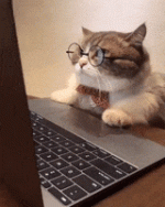 200.gif 200.gif