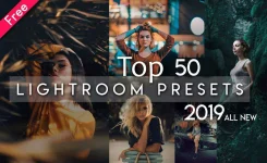 2019-web-1536x942.webp