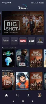 Screenshot_2021-05-08-00-06-42-422_com.disney.disneyplus.webp