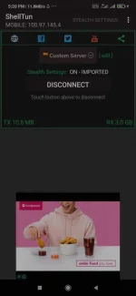 Screenshot_2021-05-08-17-20-41-386_com.artoftunnel.shelltun.webp
