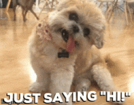 200.gif