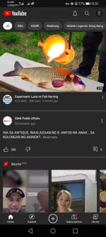 Screenshot_20210509_175125_com.vanced.android.Y⊕ùTùbé.webp