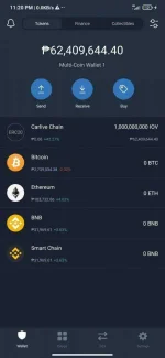Screenshot_2021-05-09-23-20-27-599_com.wallet.crypto.trustapp.webp