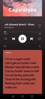Screenshot_20210510_131919_com.spotify.music.webp Screenshot_20210510_131919_com.spotify.music.webp
