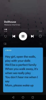Screenshot_20210510_132735_com.spotify.music.webp Screenshot_20210510_132735_com.spotify.music.webp