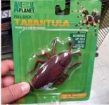 Ipis na naging Tarantula.webp