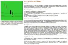 16.webp