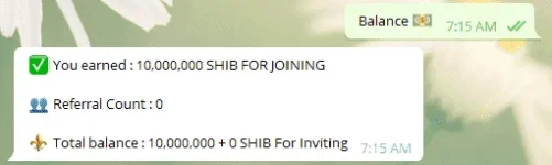 shiba.webp shiba.webp