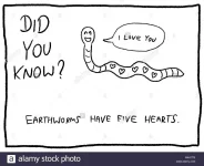 animal-trivia-fun-cartoon-doodle-concept-newspaper-funny-comic-fact-M4A1TB.webp