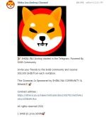 shiba.webp